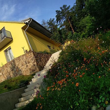 Mezi Stromy Hotel Horakov Kültér fotó